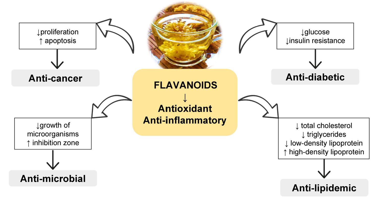 Graphical Abstract